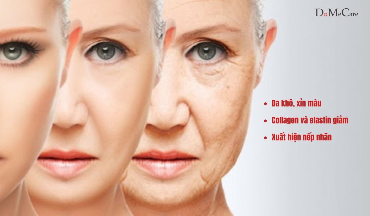 Chọn kem dưỡng da cho tuổi trung niên