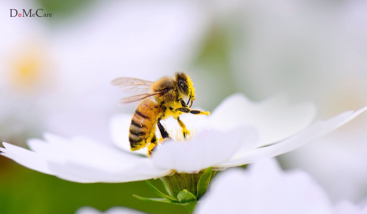 Mật ong trong mỹ phẩm thiên nhiên